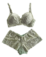 Love Lady Garden Hall Bra & Panty Bridal Set 