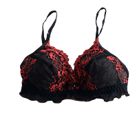 Lady Love Black Berry Bra & Panty Set