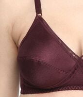 Triumph Solid Non Padded Wirefree Bra Shiny Bra