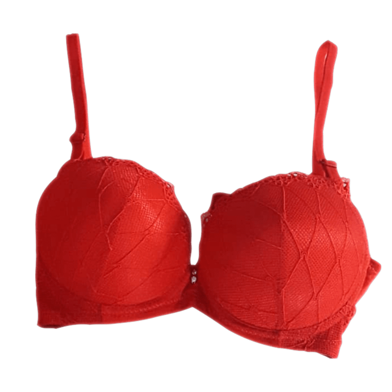 Push Up Wired with Laced Net Polyester Cotton Bra (Red)-32B