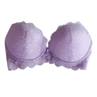 Padded Under Wired Push Up Bra with Net Coverage (Light Violet) Padded Under Wired Push Up Bra with Net Coverage (Light Violet)