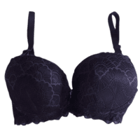 Padded Full Coverage Wired Push Up Bra with Lace (Purple) Padded Full Coverage Wired Push Up Bra with Lace (Purple)