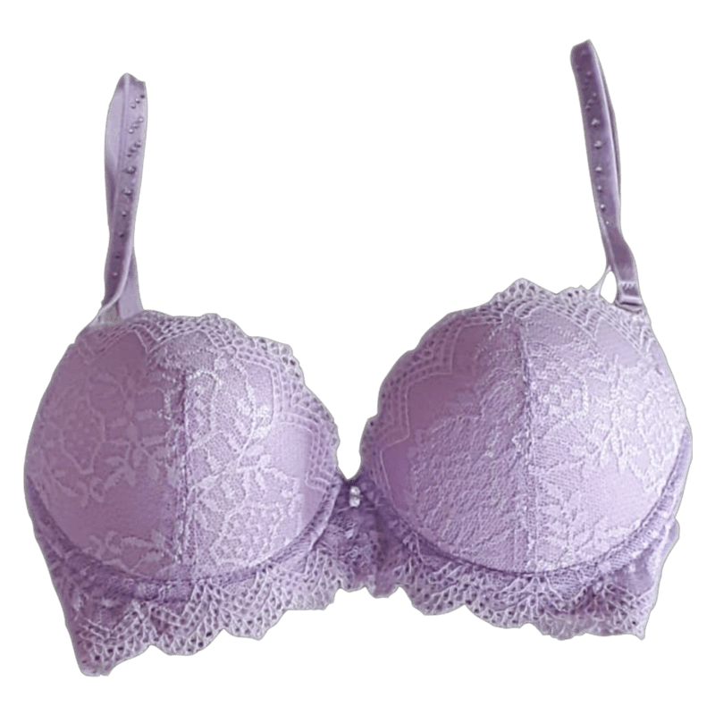 Padded Under Wired Push Up Bra with Net Coverage (Light Violet)-34B