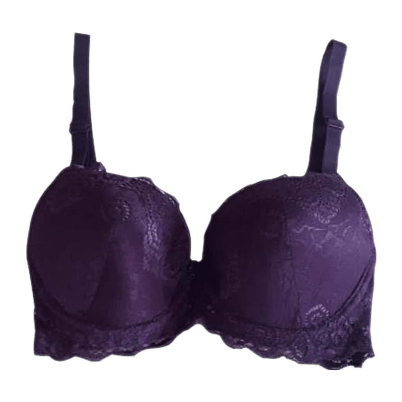 Padded Under Wired Push Up Bra with Lace Coverage (Purple)