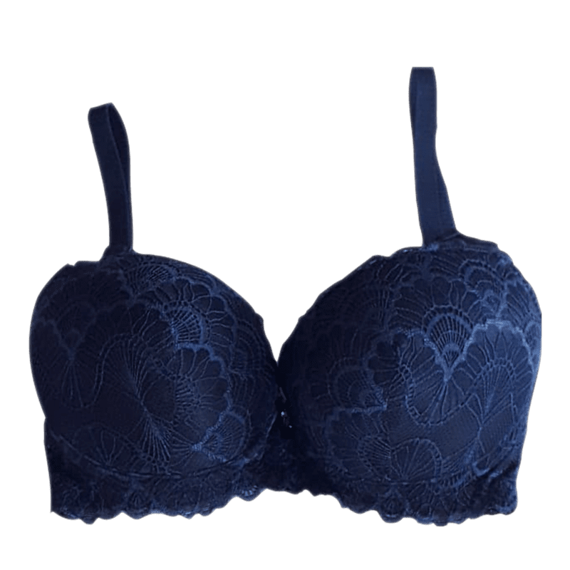 Padded Full Coverage Wired Push Up Bra with Lace (Blue)-32B