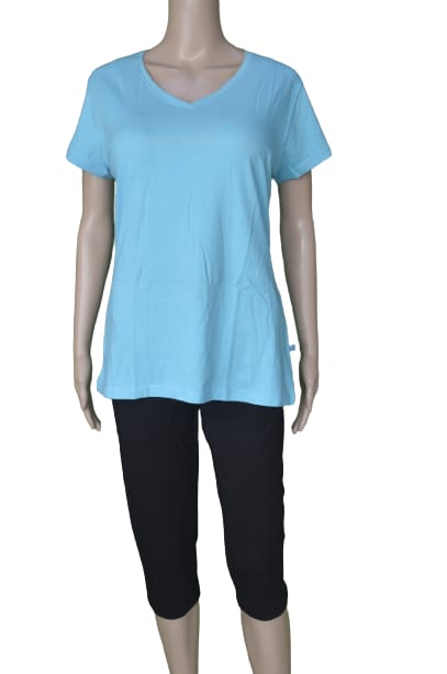 One Apparel Womens V Neck Tee (Blue)