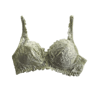 Love Lady Garden Hall Bra & Panty Bridal Set 