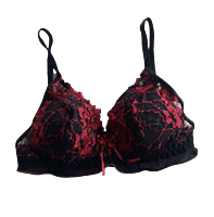 Lady Love Black Berry Bra & Panty Set