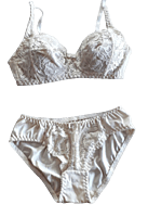 Lady Love Dress Up Set Bra & Panty Bridal Set