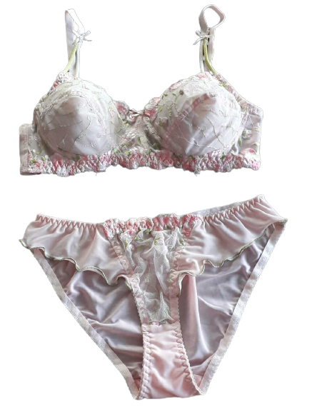 Silk Womens Bra Set W/Lace Underwired Padded Bra And, 51% OFF