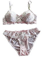 Silk Womens Bra Set W/Lace Underwired Padded Bra And, 51% OFF