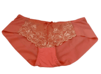 Fancy Mesh Lacely Netted Panty (Peach)