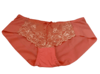 Fancy Mesh Lacely Netted Panty (Peach) Fancy Mesh Lacely Netted Panty (Peach)