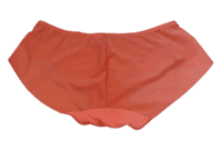 Fancy Mesh Lacely Netted Panty (Peach) Fancy Mesh Lacely Netted Panty (Peach)