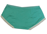 Fancy Mesh Lacely Netted Panty (Green)