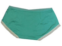 Fancy Mesh Lacely Netted Panty (Green) Fancy Mesh Lacely Netted Panty (Green)