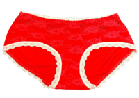 Fancy Mesh Lacely Netted Panty (Red)