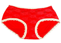 Fancy Mesh Lacely Netted Panty (Red) Fancy Mesh Lacely Netted Panty (Red)