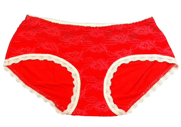 Fancy Mesh Lacely Netted Panty (Red) Fancy Mesh Lacely Netted Panty (Red)
