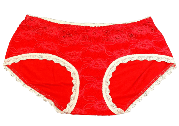 Fancy Mesh Lacely Netted Panty (Red)