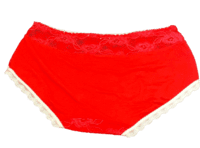 Fancy Mesh Lacely Netted Panty (Red) Fancy Mesh Lacely Netted Panty (Red)