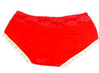 Fancy Mesh Lacely Netted Panty (Red)