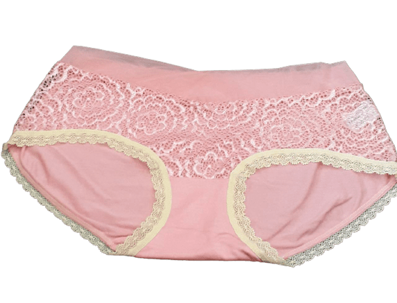 Fancy Mesh Soft Satin Netted Panty- Baby Pink Fancy Mesh Soft Satin Netted Panty- Baby Pink