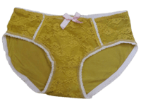 Fancy Mesh Lacely Netted Panty - Mustard