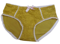 Fancy Mesh Lacely Netted Panty - Mustard Fancy Mesh Lacely Netted Panty - Mustard