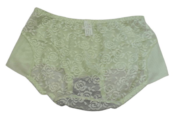 Fancy Lace Boy Shorts Netted Panty - Lite Green