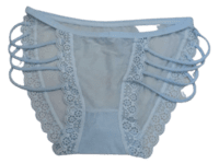Fancy Mesh Lacely Netted Panty Lite Blue
