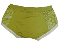 Fancy Mesh Soft Satin Netted Panty - Green And Cream