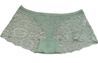 Fancy Lace Boy Shorts Net Panty- Green