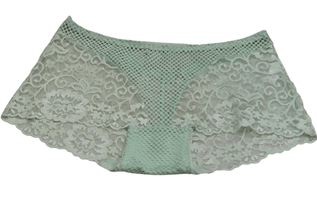 Fancy Lace Boy Shorts Net Panty- Green