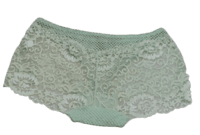 Fancy Lace Boy Shorts Net Panty- Green