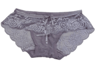 Fancy Mesh Lacely Netted Panty- pURPLE