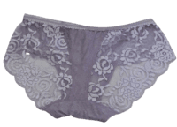 Fancy Mesh Lacely Netted Panty- pURPLE Fancy Mesh Lacely Netted Panty- pURPLE