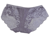 Fancy Mesh Lacely Netted Panty- pURPLE