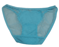 Fancy Mesh Lacely Netted Panty - Sea Blue