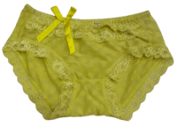 Fancy Mesh Lacely Netted Panty- Dark Yellow