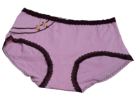 Fancy Mesh Soft Satin Netted Panty- Pink And Brown