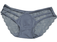 Fancy Mesh Lacely Netted Panty- Grey