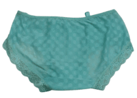 Fancy Mesh Lacely Netted Panty- Sea Green
