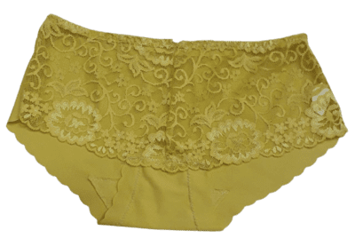 Fancy Mesh Lacely Netted Panty- Dull Gold
