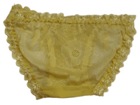 Fancy Mesh Double Lacely Netted Panty -Gold