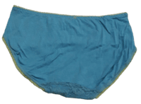Fancy Mesh Soft Satin Netted Panty- Blue And Green Fancy Mesh Soft Satin Netted Panty- Blue And Green