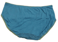 Fancy Mesh Soft Satin Netted Panty- Blue And Green