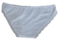 Fancy Mesh Soft Satin Netted Panty- PURE WHITE