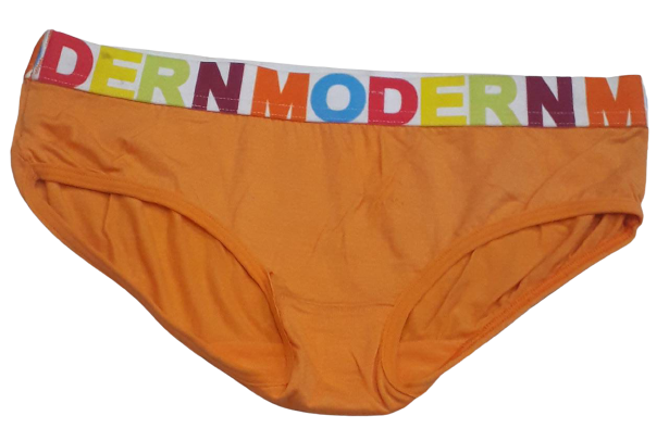 Comfortly Vanish Seamless Hipster Panty- Orange