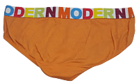 Comfortly Vanish Seamless Hipster Panty- Orange